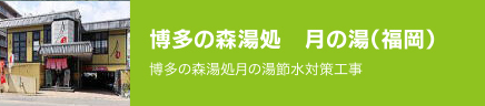 博多の森湯処　月の湯