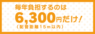 毎年負担するのは6,300円だけ！